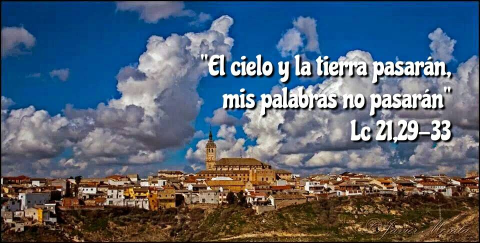 #ImagenDelDía #EvangelioDelDía 
Lc 21,29-33. Viernes de la XXXIV semana del tiempo ordinario 
#FelizViernes