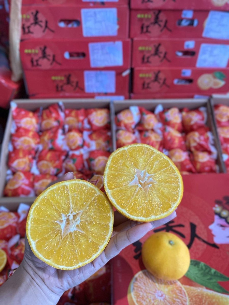 Pinkky_chey's tweet photo. 🍊 ส้มเยลลี่ #14,16ลูก 🍊

รสชาติ หวาน หอม อร่อยค่าา

🚩กล่อง  3kg. รวม ราคา 390 บาท ส่งฟรี‼️

💌สนใจสั่งซื้อได้ที่ https://t.co/RlOh6eHout หรือ @694gitds

Line:piglett_pink หรือ โทร 064-716-6651

🚚❄️กทม นนทบุรี ปทุมธานี สมุทรปราการ 
ส่งฟรีแช่เย็นรับสินค้าภายในวันที่ส่ง https://t.co/vVizkH8TEx