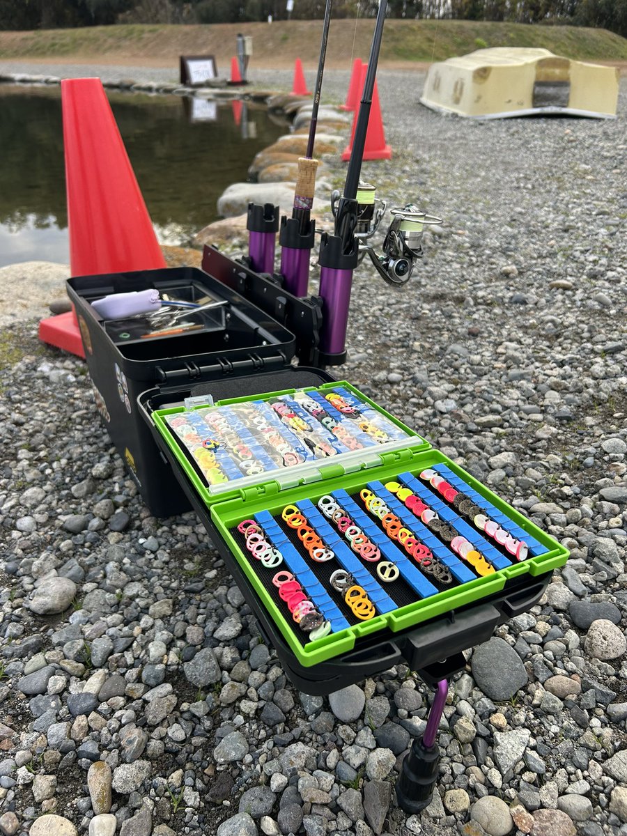 うーたん様 うーたん様 公式】うーたん (@utan_inaiinai) / X