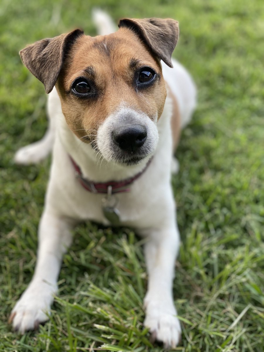 Troy Cassar-Daley tweet media