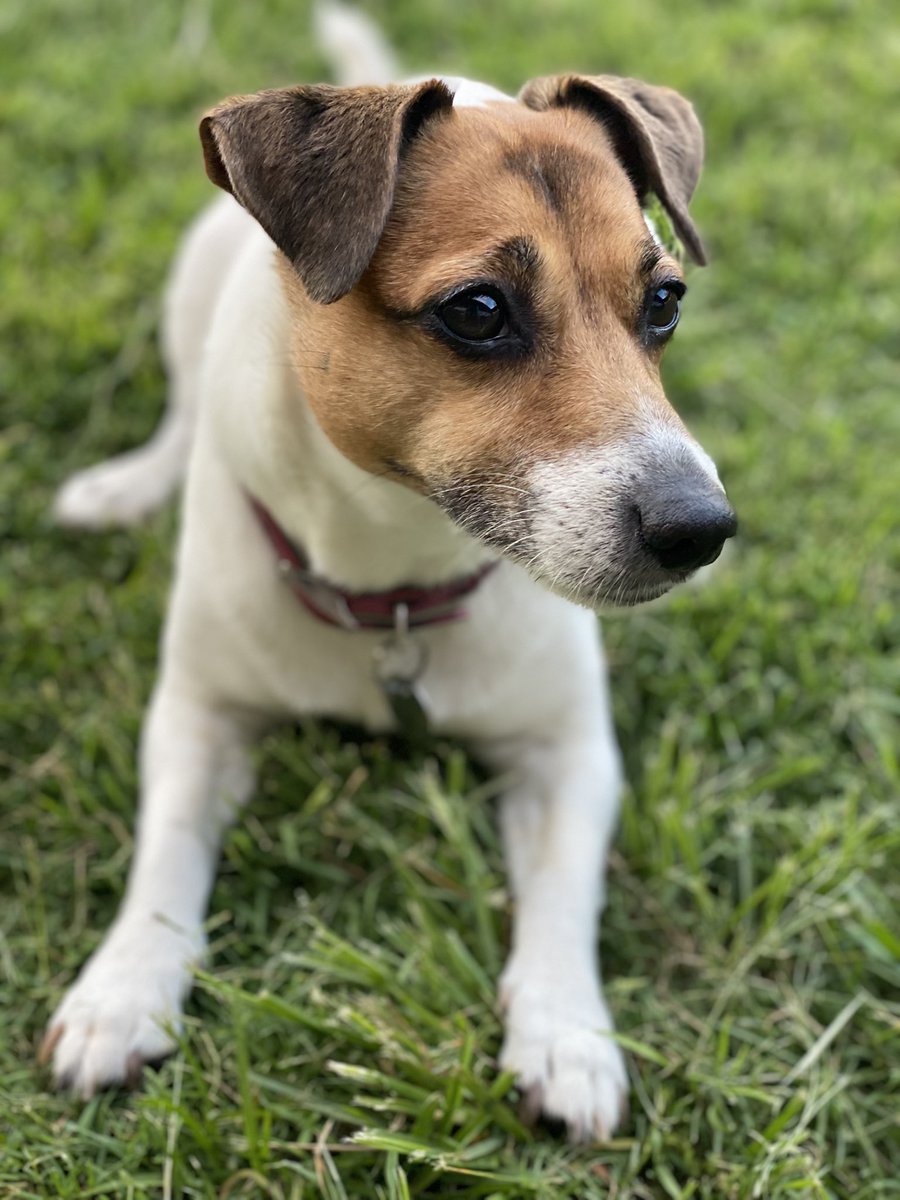 Troy Cassar-Daley tweet media