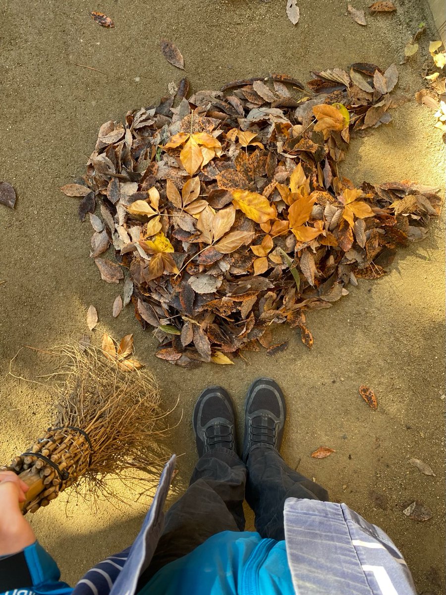 そこらへんの落ち葉 どんどこ森ではもうしばらく紅葉を楽しめそうですが、落ち葉もだんだん