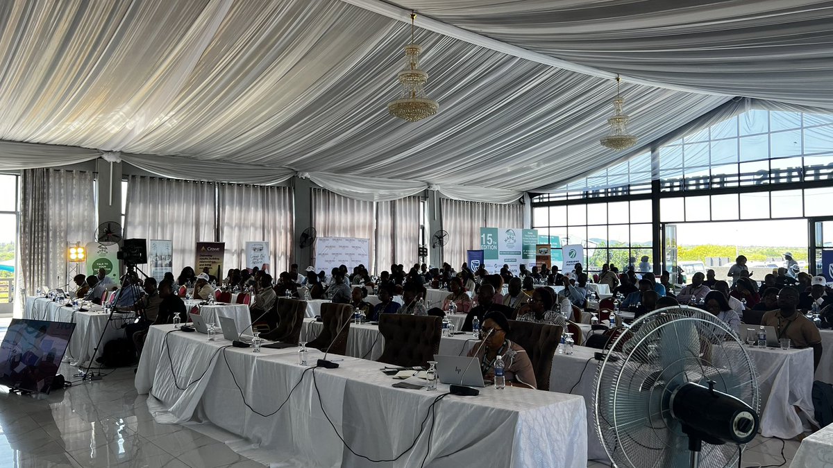 NANGO Zimbabwe tweet media