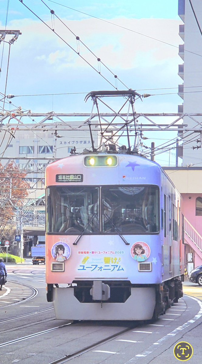 さんちゃん さんちゃん (@sanchan9981) / Posts / X