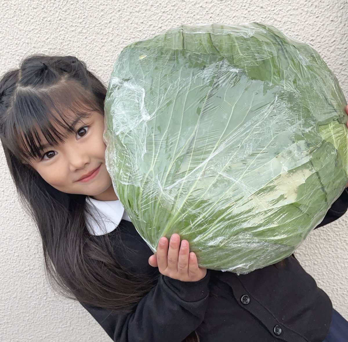キャベツ(//∇//)$
