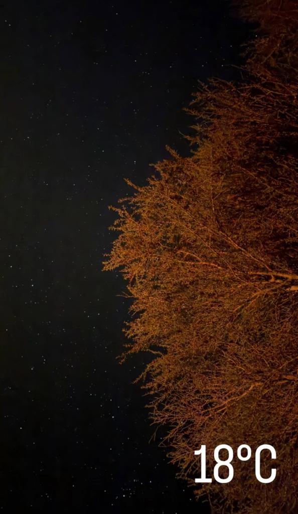 الحياة أولويات يُعاد ترتيبها كُل فترة .. 
. 
. 
#الكشته_في_عمان_غير