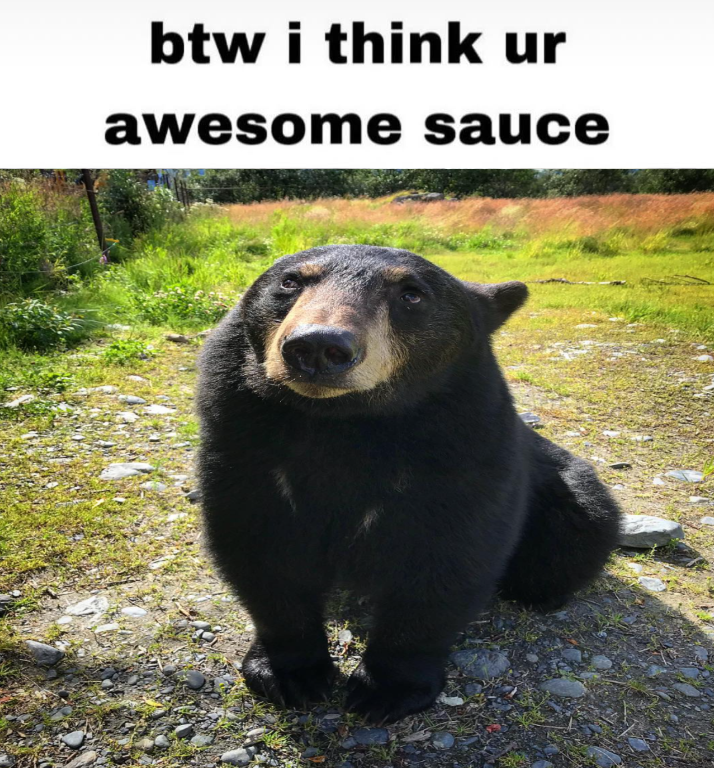 BearyDales (@bearydales) on Twitter photo 