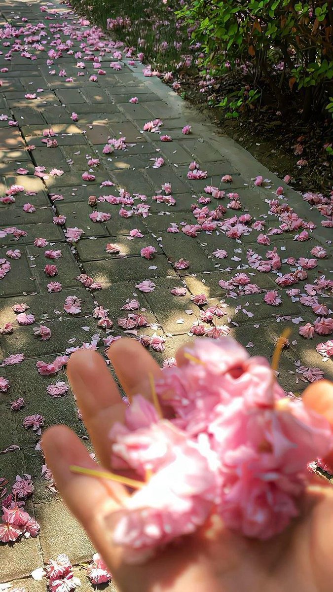 कभी कभी ज़रा सा ही होता है..
मगर उम्र भर रहेता है..
एक बूंद इश्क़..✨✨✨