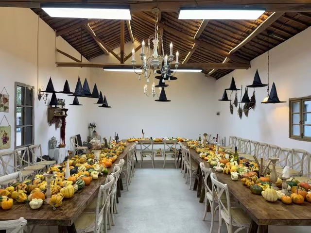Hi_Deqing's tweet image. We saved all 8,800 spring #pumpkins so their quirky glow could travel. Polly's 800-acre farm in #Deqing is one big squash party: neon orange, smoky blue, alien shapes, baby bumps, pumpkin banquets, jack-o'-lantern labs &amp;amp; #Halloween blowouts.