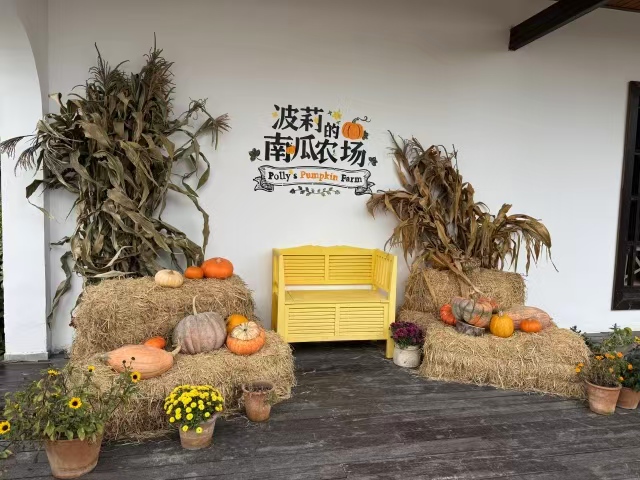 Hi_Deqing's tweet image. We saved all 8,800 spring #pumpkins so their quirky glow could travel. Polly's 800-acre farm in #Deqing is one big squash party: neon orange, smoky blue, alien shapes, baby bumps, pumpkin banquets, jack-o'-lantern labs &amp;amp; #Halloween blowouts.