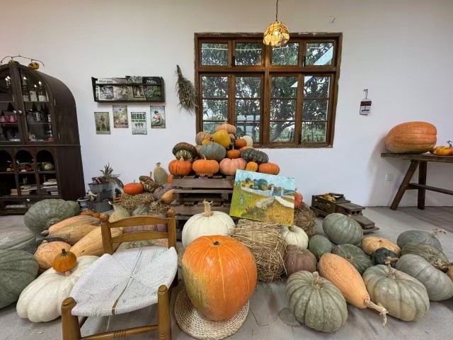 Hi_Deqing's tweet image. We saved all 8,800 spring #pumpkins so their quirky glow could travel. Polly's 800-acre farm in #Deqing is one big squash party: neon orange, smoky blue, alien shapes, baby bumps, pumpkin banquets, jack-o'-lantern labs &amp;amp; #Halloween blowouts.