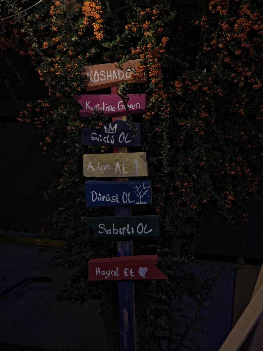 Wvisioncreation's tweet image. S25 Ultra | Low-light 5x 24MP, no edit

There’s always a choice: say what I really think and go against the trend… or follow the trend, join the herd, and farm followers.

I’ll choose to be me.

#ShotOnSnapdragon