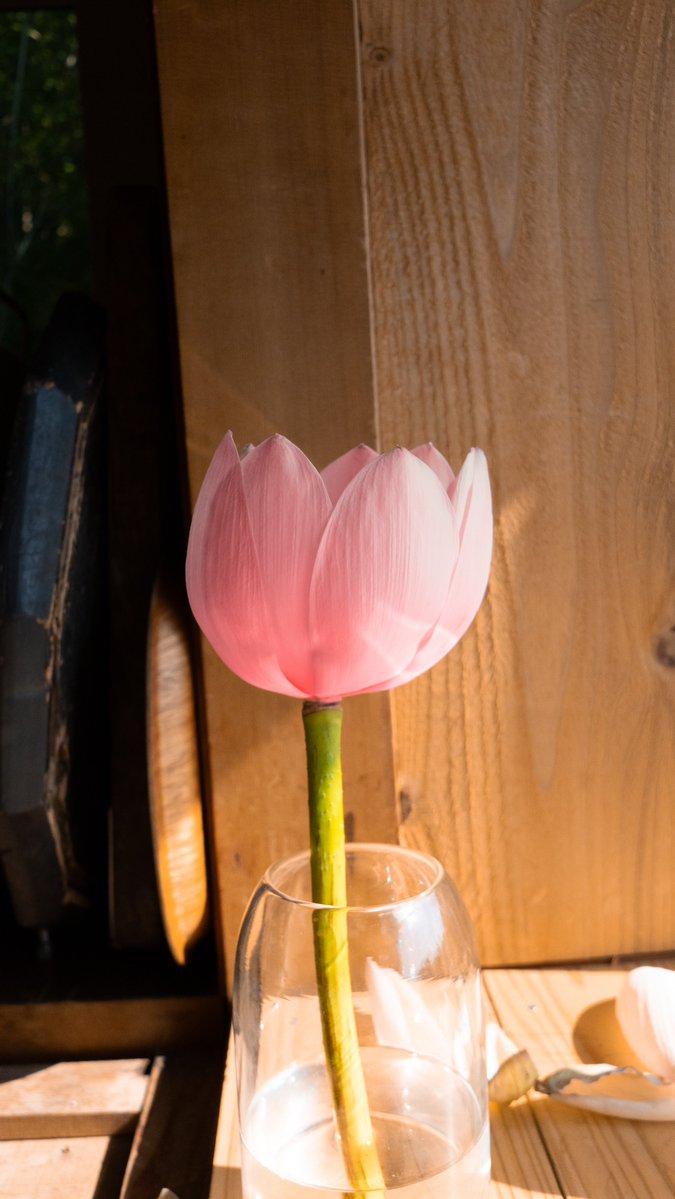 kiduki_official's tweet photo. ki dukiの「renge」は、
蓮華の花そのもののフォルムを
表現したようなデザインにしました。

大切な人へのギフトに蓮華をデザインした箱は、
まるで一輪の花を贈るようです。

#キッチン道具
#木の道具
#暮らしを楽しむ https://t.co/aziDwNcnIq
