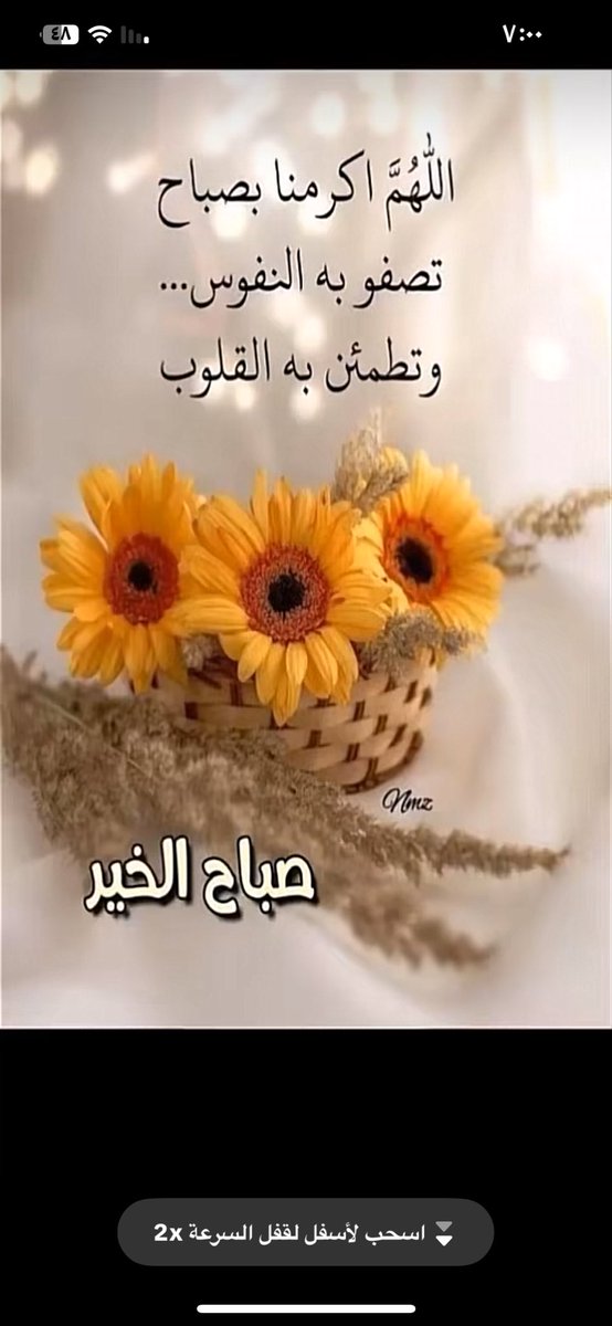صباااح االخير  🌴