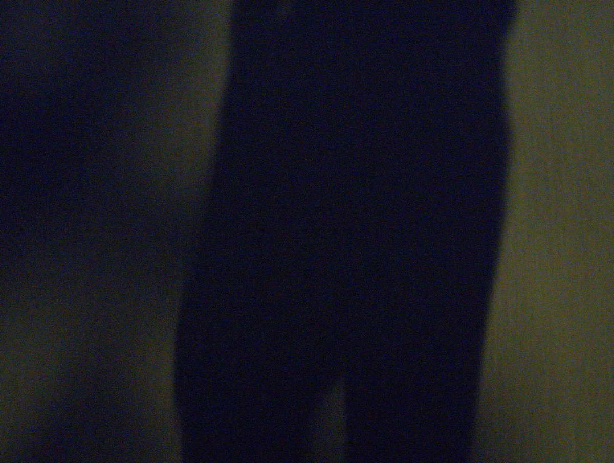 toneless007's tweet image. #backup