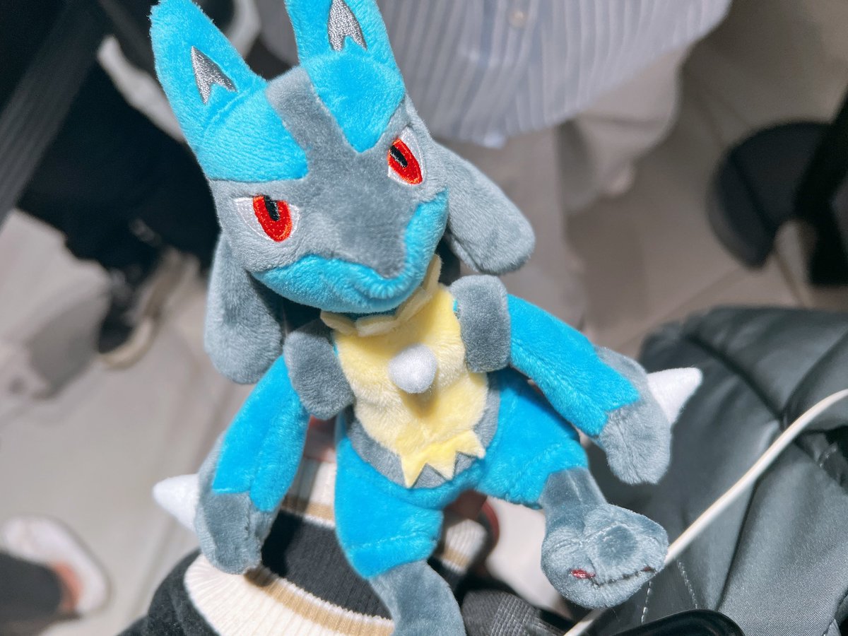 r_in_u's tweet image. 新しい友達を迎えた！ルカリオのfitかわいすぎ😸
所持済みだけどラス1残されてたブラッキーしばらく残ってたら2匹目連れ帰るつもりだったけど無事飼い主が決まってた😸