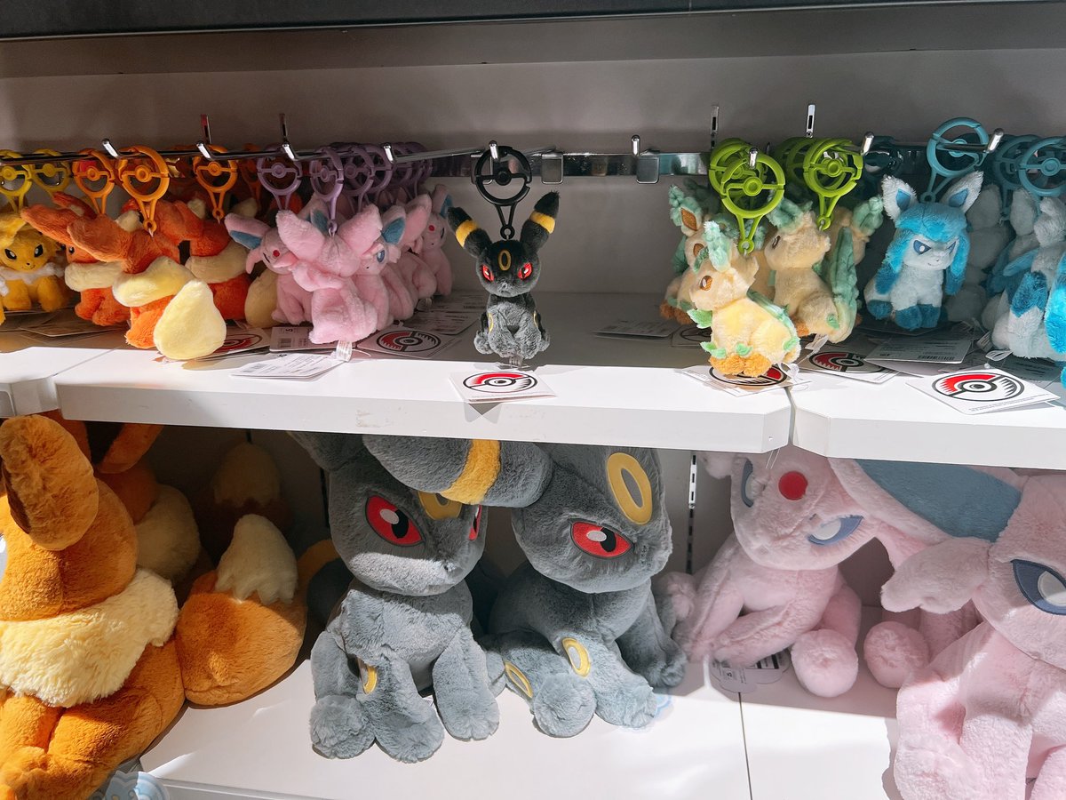 r_in_u's tweet image. 新しい友達を迎えた！ルカリオのfitかわいすぎ😸
所持済みだけどラス1残されてたブラッキーしばらく残ってたら2匹目連れ帰るつもりだったけど無事飼い主が決まってた😸