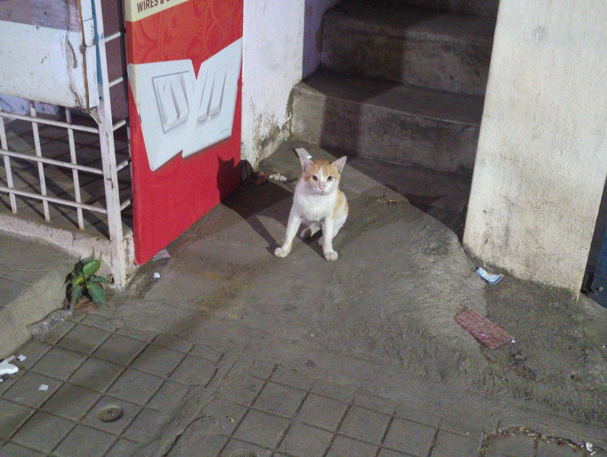 toneless007's tweet image. #backup