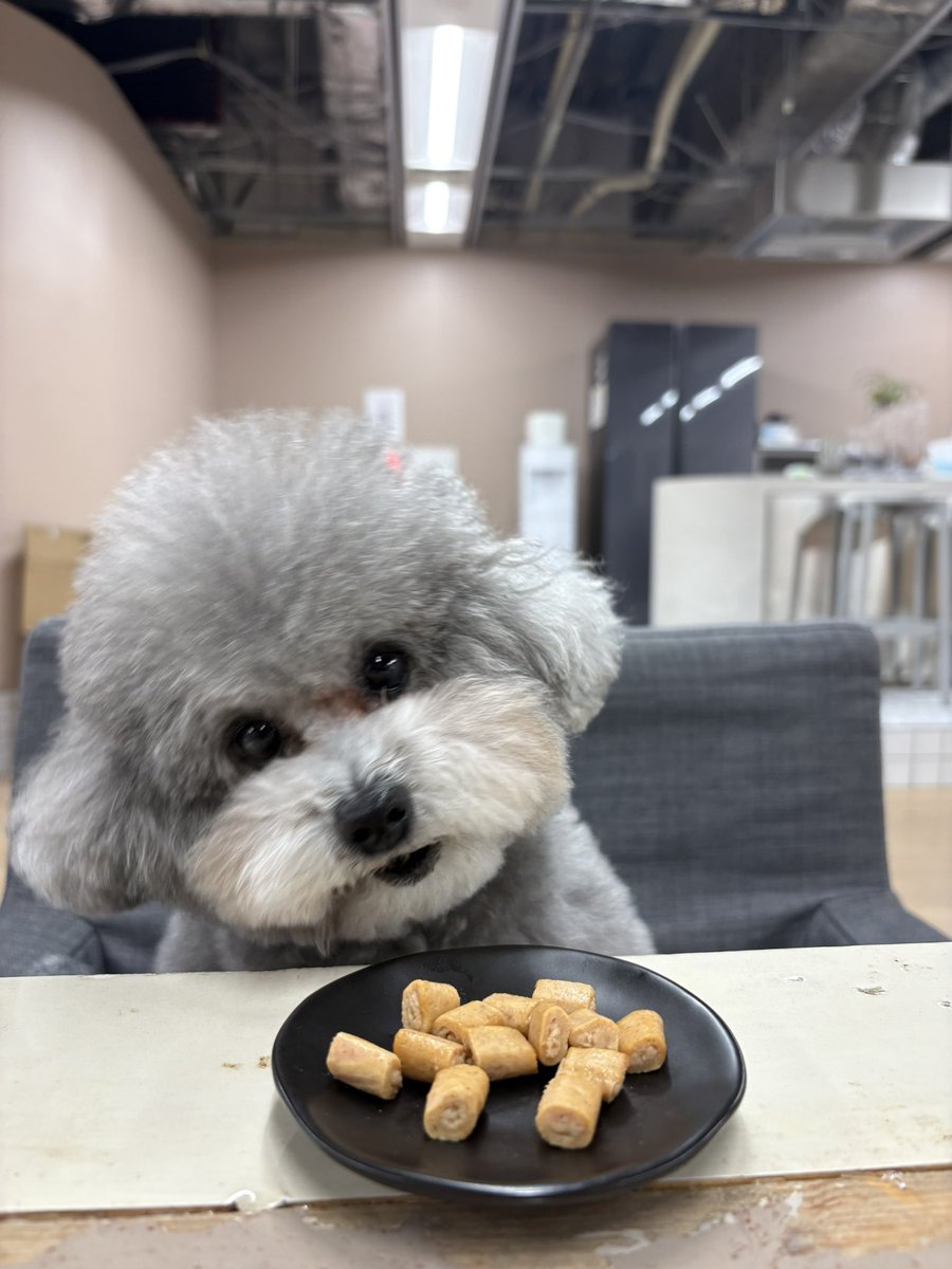 franky_dogs's tweet image. ダイエット中の同僚に、

『俺のメシ食うか？』

と優しい言葉をかける上司犬