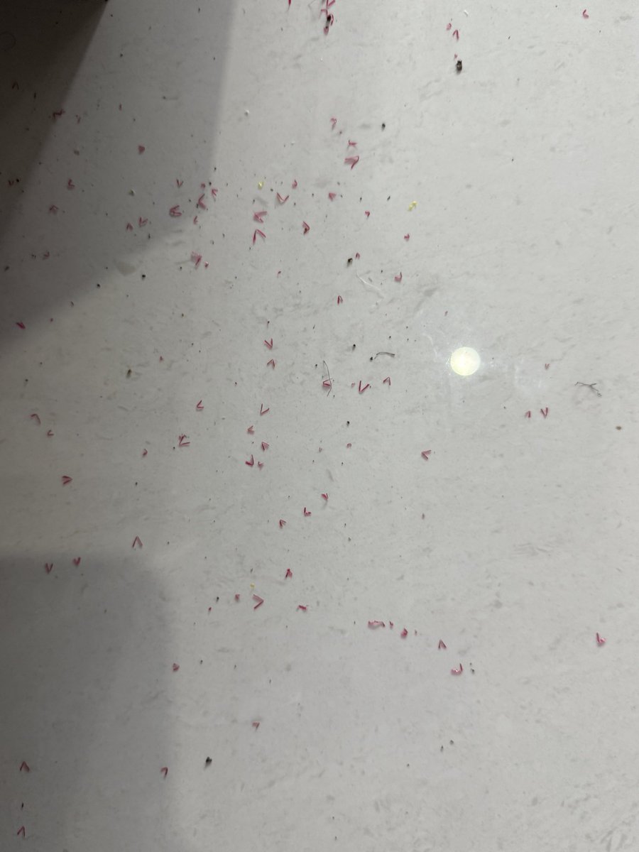 av_bhadra's tweet photo. This is the tenth time I am posting this issue in X about the poor and unhealthy packing used by @Swiggy. The plastic net used for packing vegetables sheds lots if plastic dust when it is cut open. Very dangerous and can cause cancer if it goes with food. Do something urgently. https://t.co/rvB5MXi5iC
