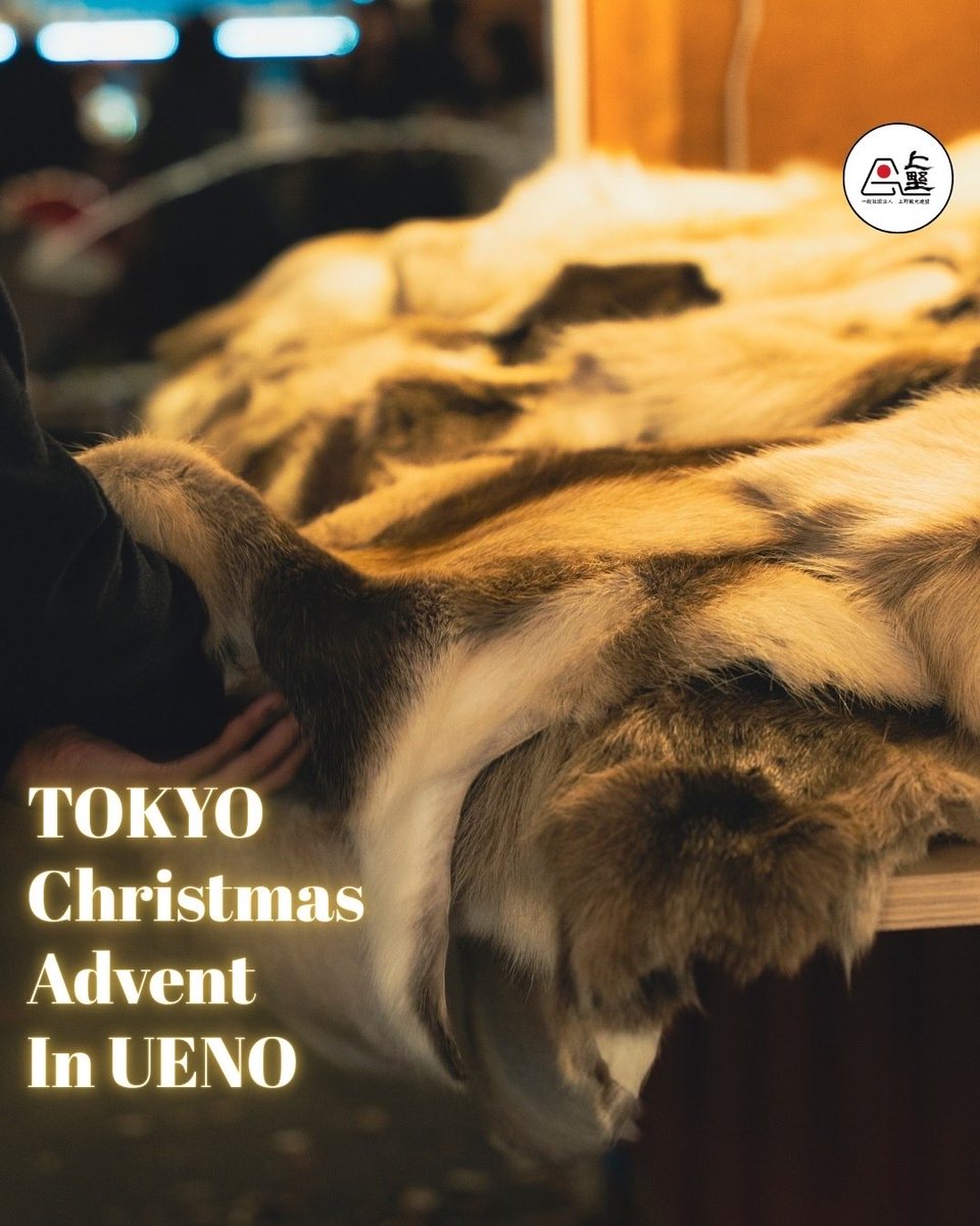 寒いなら、オレのラグを敷きな！」 …と言ってる気がする!? 高品質な