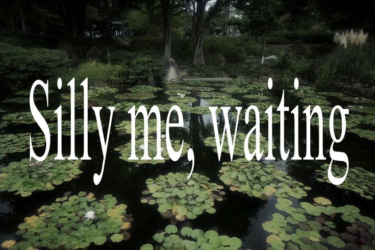 🍂 (@lovandfear) on Twitter photo 