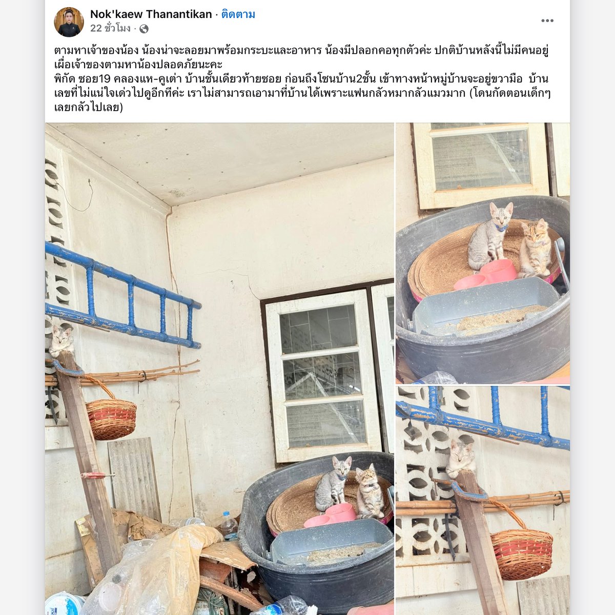 JulieLunie's tweet image. อันนี้ช่วยแชร์ให้เขาอีกทาง  พ่อแม่คงรักมาก แมวมีปลอกคอ ท่าทางได้รับการดูแลอย่างดี ถึงขั้นเสียสละกระบะปูนใบใหญ่ให้น้องอยู่เอาตัวรอดจากน้ำท่วม ขอให้ได้เจอเจ้าของเร็วๆ

facebook.com/bar.beer.79/po…

 #น้ําท่วมหาดใหญ่