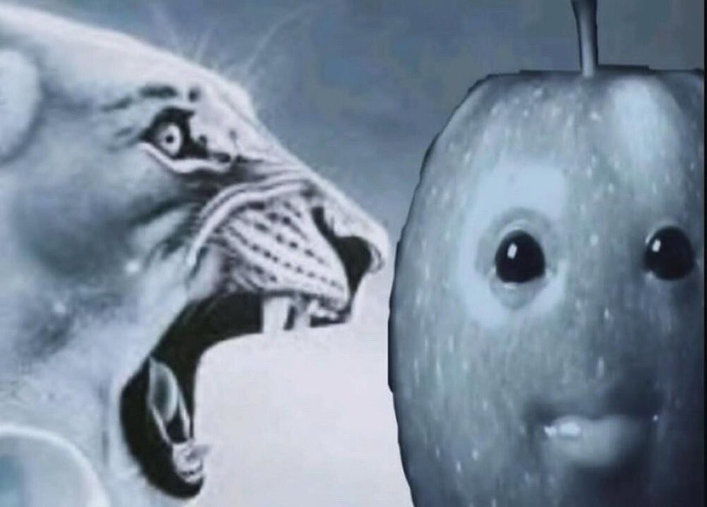 🐱🥖 tweet media