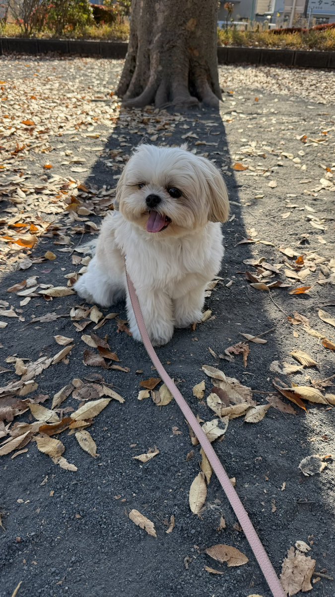 えっちゃん (@BokuEsteban) / Posts / X