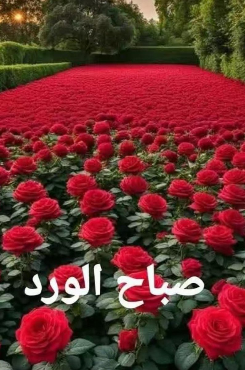 جمعة مباركة عليكم 🙏