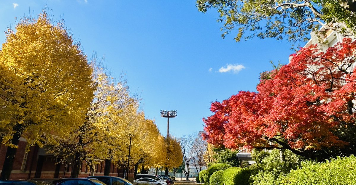 Kumamoto University Kurokami North Campus