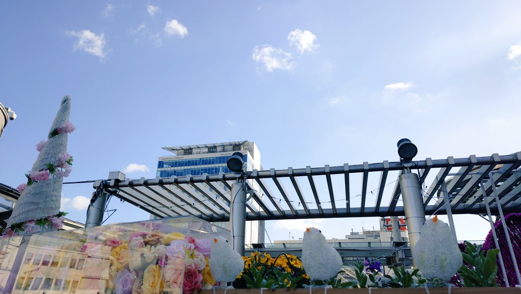 baucyan1's tweet image. #イマソラ #空 #天気
今日は肌寒い🚶‍♀️🌞🎄✨️🎶🎅💐