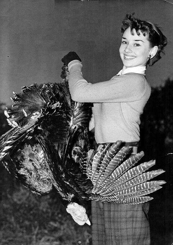 Somehow ended up at a second family's Thanksgiving today. Learned that some people actually have family, and relatives and loved ones that they actually like and connect and relate to and it's not all coldness and detachment....