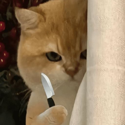 🔪🔪🔪

#theenigmaverse #Enigmaverse #theedgyverse #Edgyverse #Hansel #Gretel