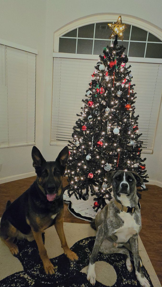 Happy Thanksgiving from the boys