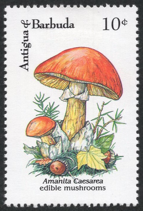 きのこ 切手 ② 切手 きのこ ②