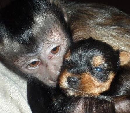 a falta de consideração me pega mais doq a falta de amor tipo nenhuma celula do seu ser pensa em como eu me sentiria sabe