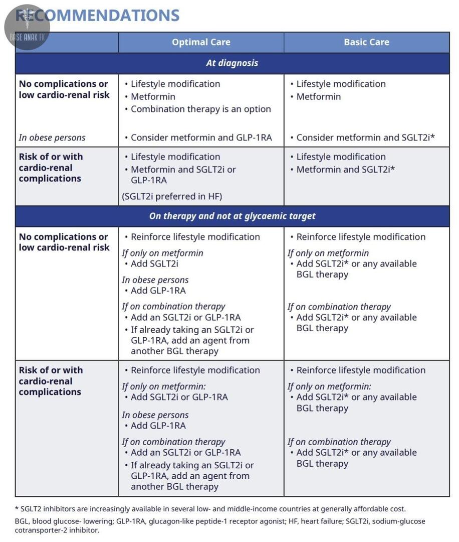 BaseAnakFK's tweet image. dok Ini ada rekomendasi terbaru (2025)  untuk terapi farmakologis Diabetes Melitus (DM) tipe 2 dari International Diabetes Federation (IDF)