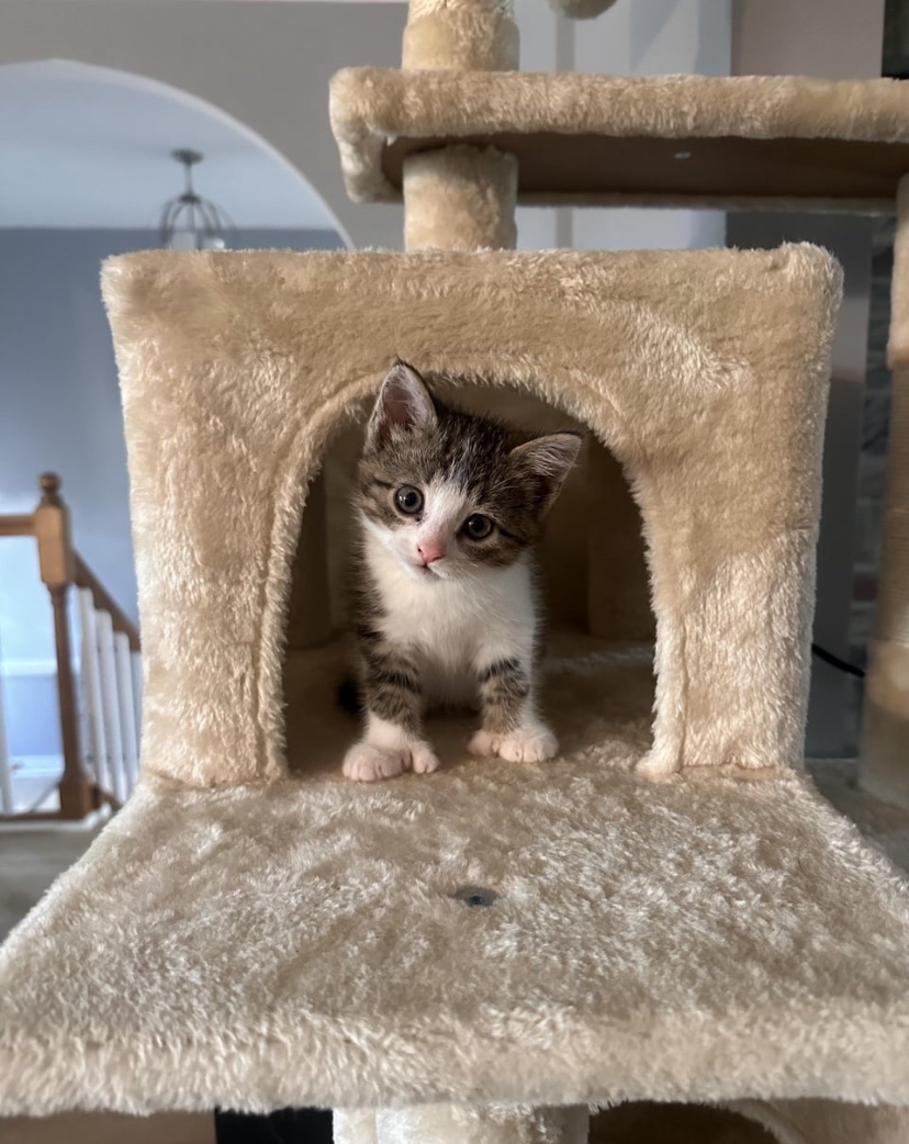 Her thumbs melt my heart