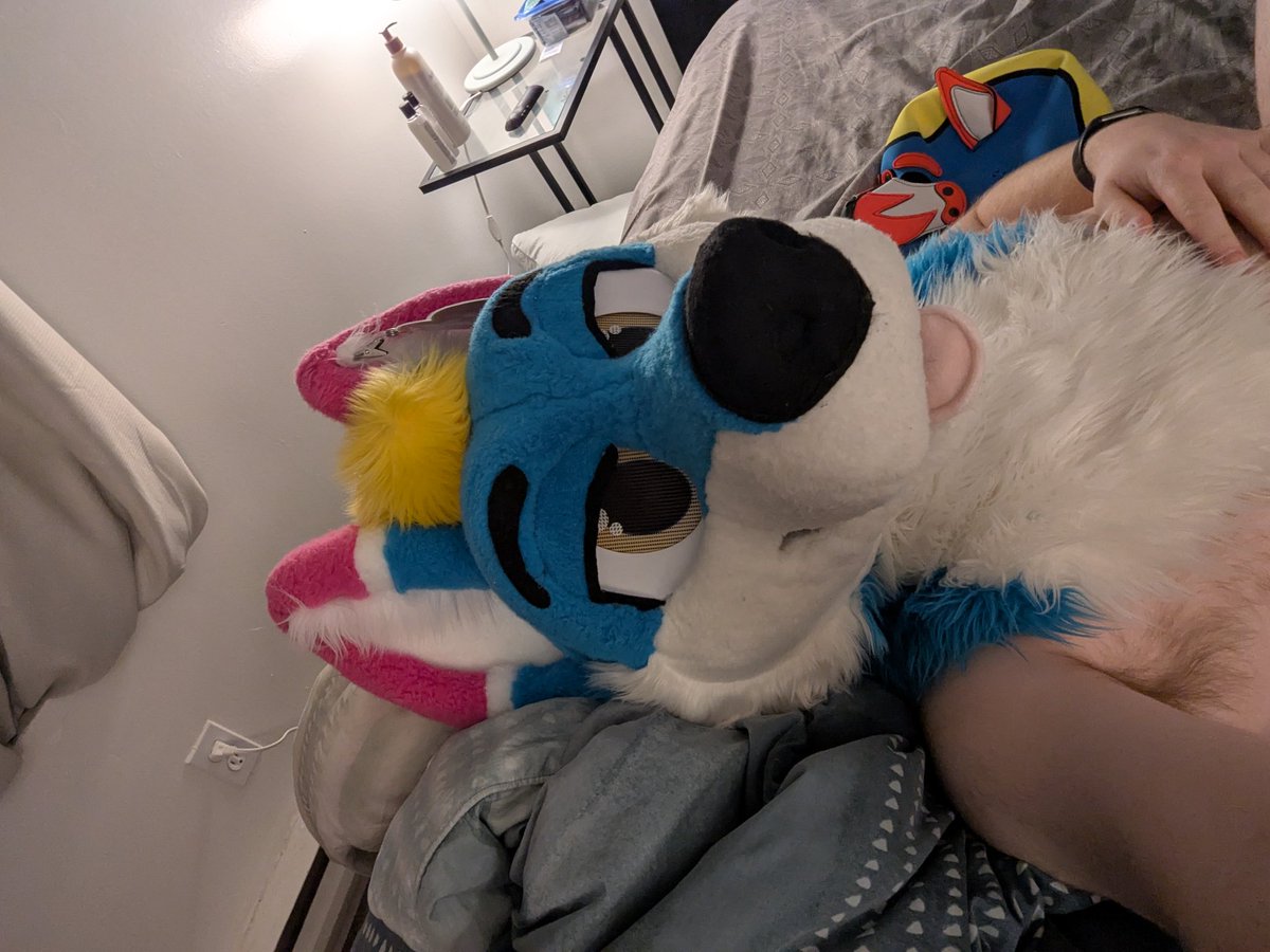 bighuskybutt's tweet image. Happy Thursday! 🇨🇦