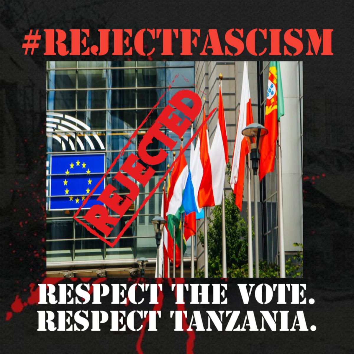 Liloh254's tweet photo. It’s disappointing that the European Parliament repeats the word “rigged” without acknowledging the opposition boycott, and Tanzania uses #RejectForeignInterference to remind partners that Respect Our Democracy begins with full context. https://t.co/OBkPQ573js