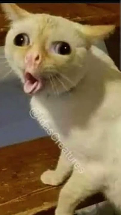 Mi have cold 🤧 
Big woman like me have me nose a run like likkle pickney and a cough out mi lungs
