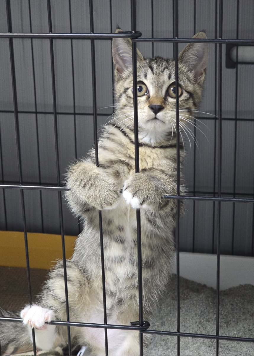 클라이밍 조기교육 시키는 수상한(?) 하숙집
1번 하숙생 곤히                      2번 하숙생 호카