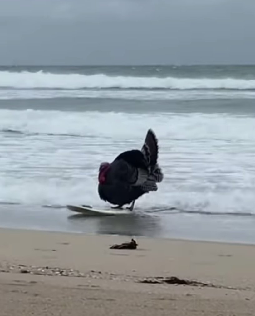 DannyMacK💯 tweet media