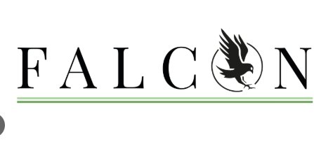 TheAmitJaiswal's tweet image. The crypto space needed a predator, not another sheep. @falconfinance  swoops in with $FF, hunting inefficiencies in DeFi like a falcon tracks prey. Sharp vision, precise execution, zero fluff. This isn&apos;t your average yield aggregator—it&apos;s financial evolution. #FalconFinance 🦅⚡