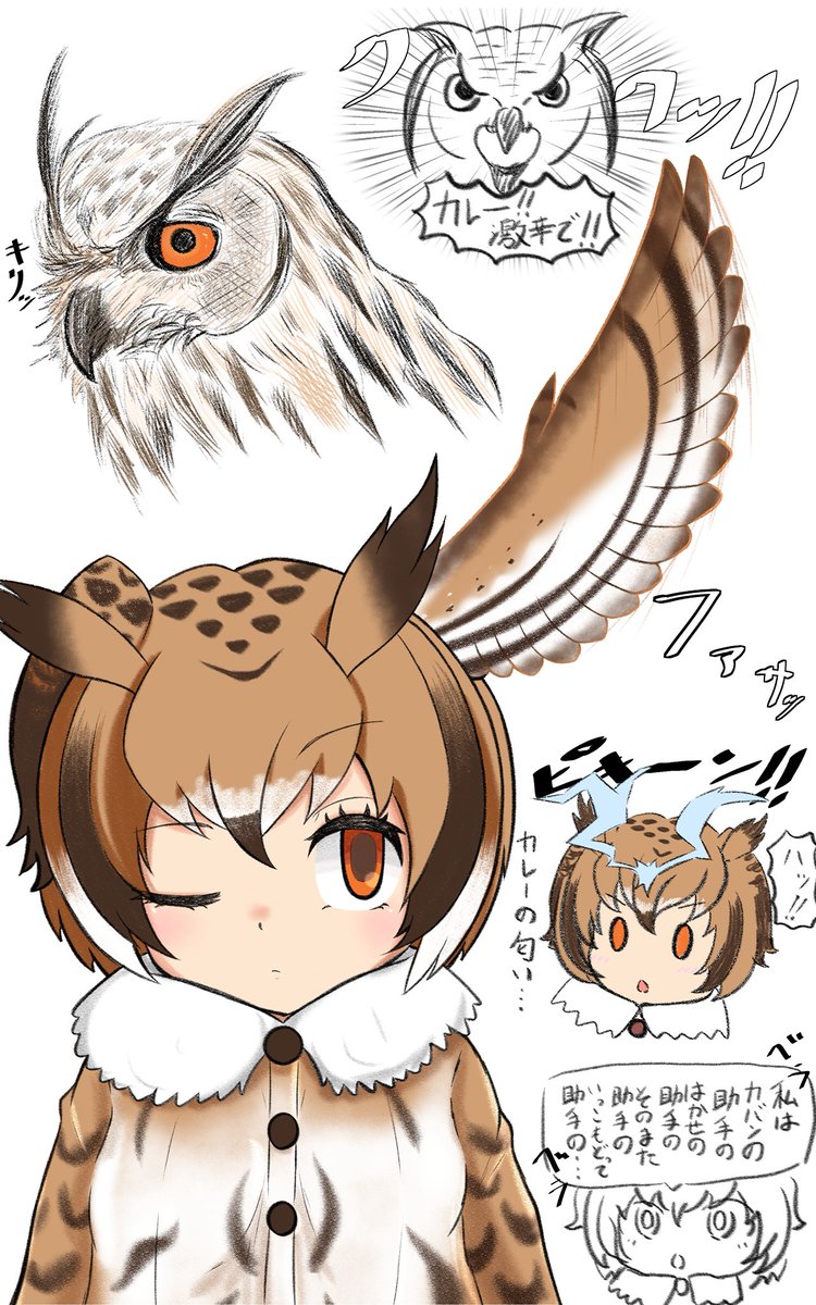 ワシミミズク可愛いって話
 #けものフレンズ
