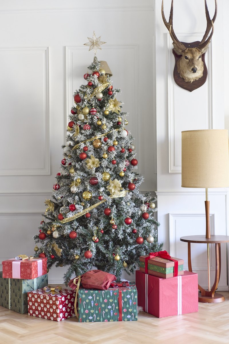 🎄📷今年もクリスマスツリーが登場しました！ Stella 3F&amp;4Fには高さ180cm、Greigeには高さ180cm、Beigeには高さ210cmのツリーを設置しています📷#クリスマス撮影 #StellaStudio #BeigeStudio #GreigeStudio #撮影スタジオ