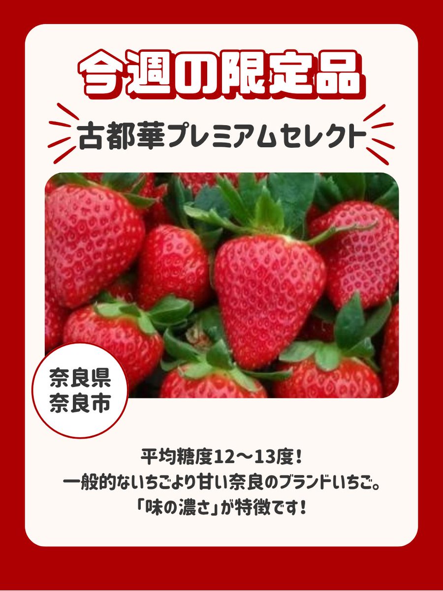 ?ふるさとチョイス限定品/／ 今週はこちら‼️ 奈良県奈良市【古都華 