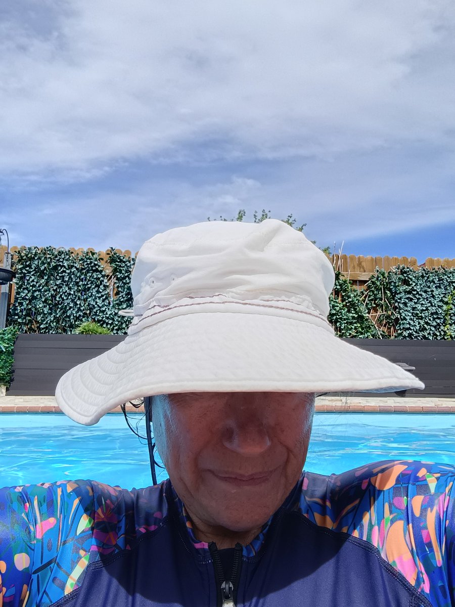 I gave myself a day off today- after a couple of weeks of commitments, appointments and stuff that I had to do. Some of it has been fun but I am just not used to having a very full life. I need a quiet pace with a little bit of daily action.

Like my neighbours pool today.