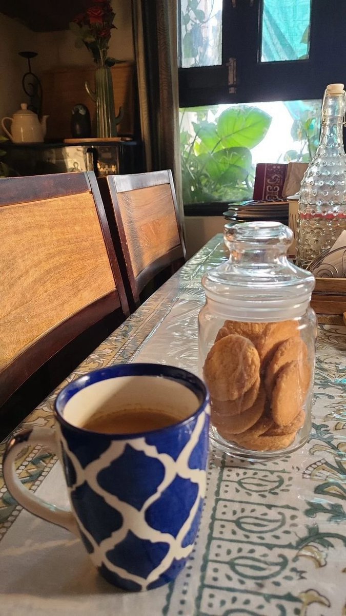 Introvert_Sci's tweet image. Friday mornings hit different with chai, sunlight, and simple comforts.☀️☕🍪

Happy Friday!!